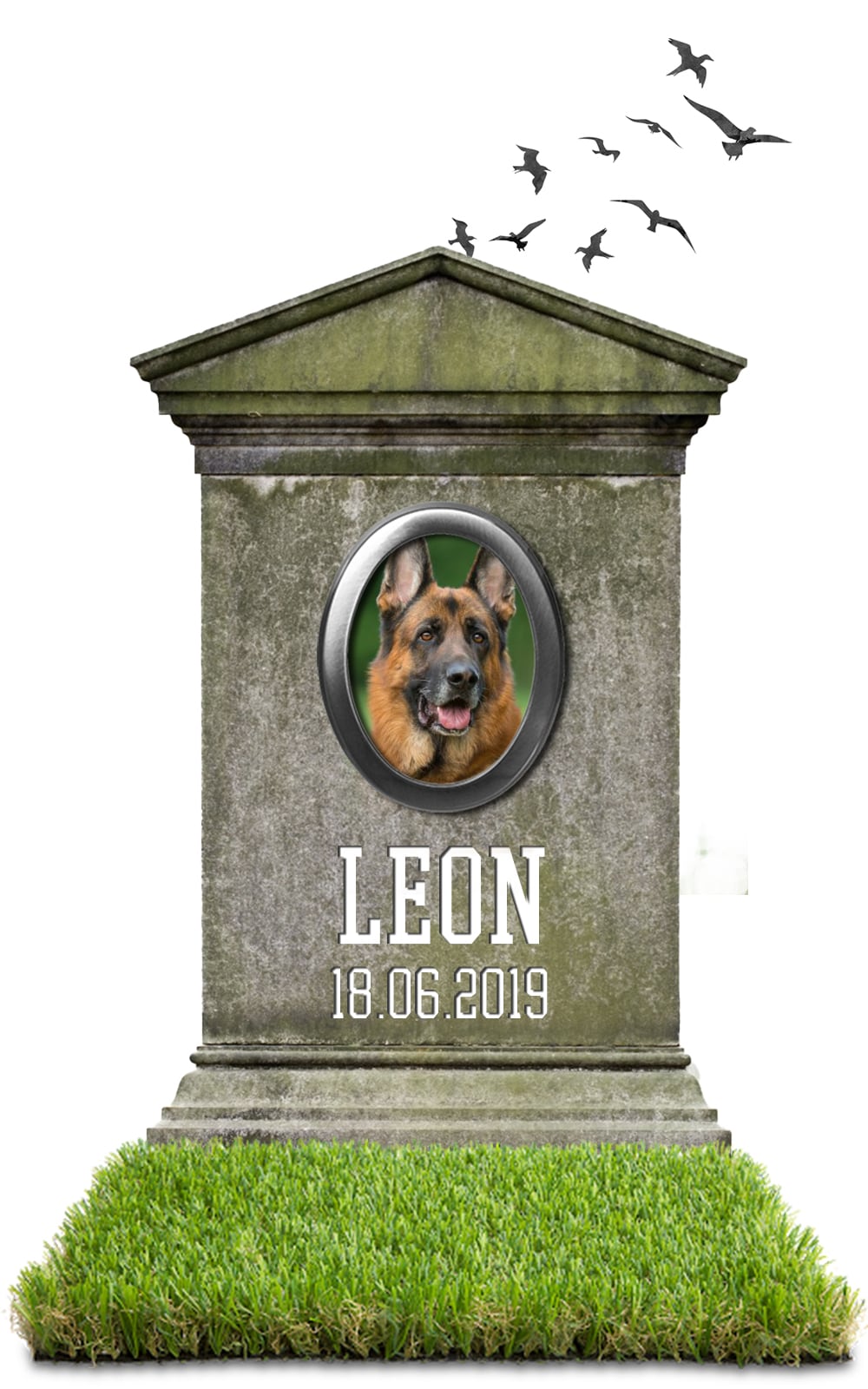 LEON 18.06.2019