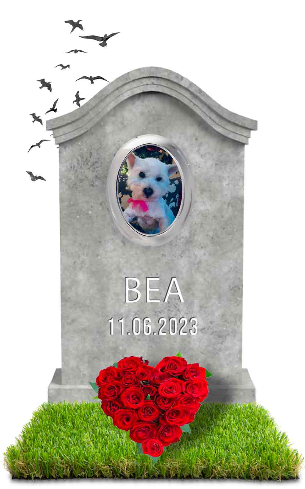 BEA 11.06.2023