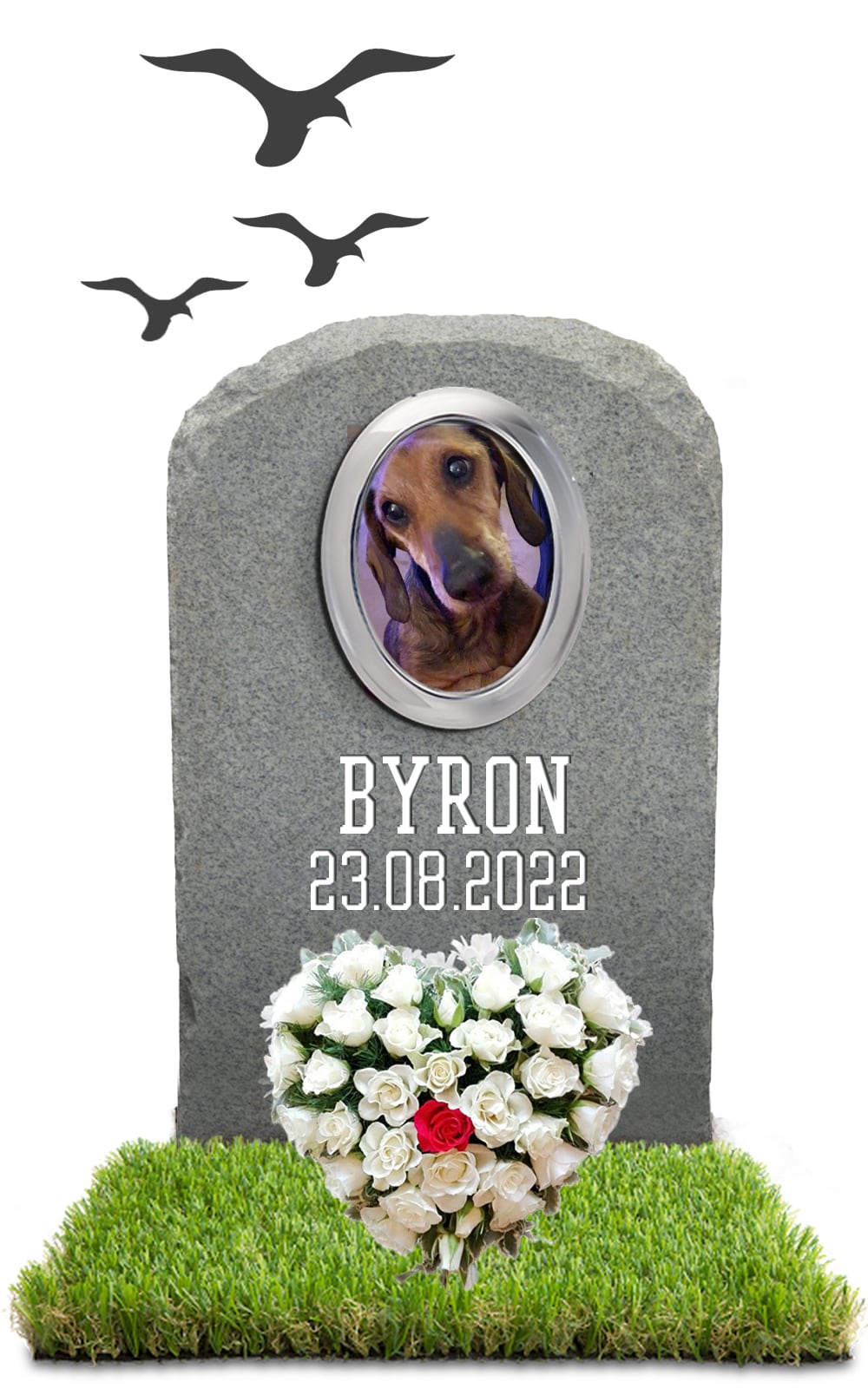 BYRON 23.08.2022
