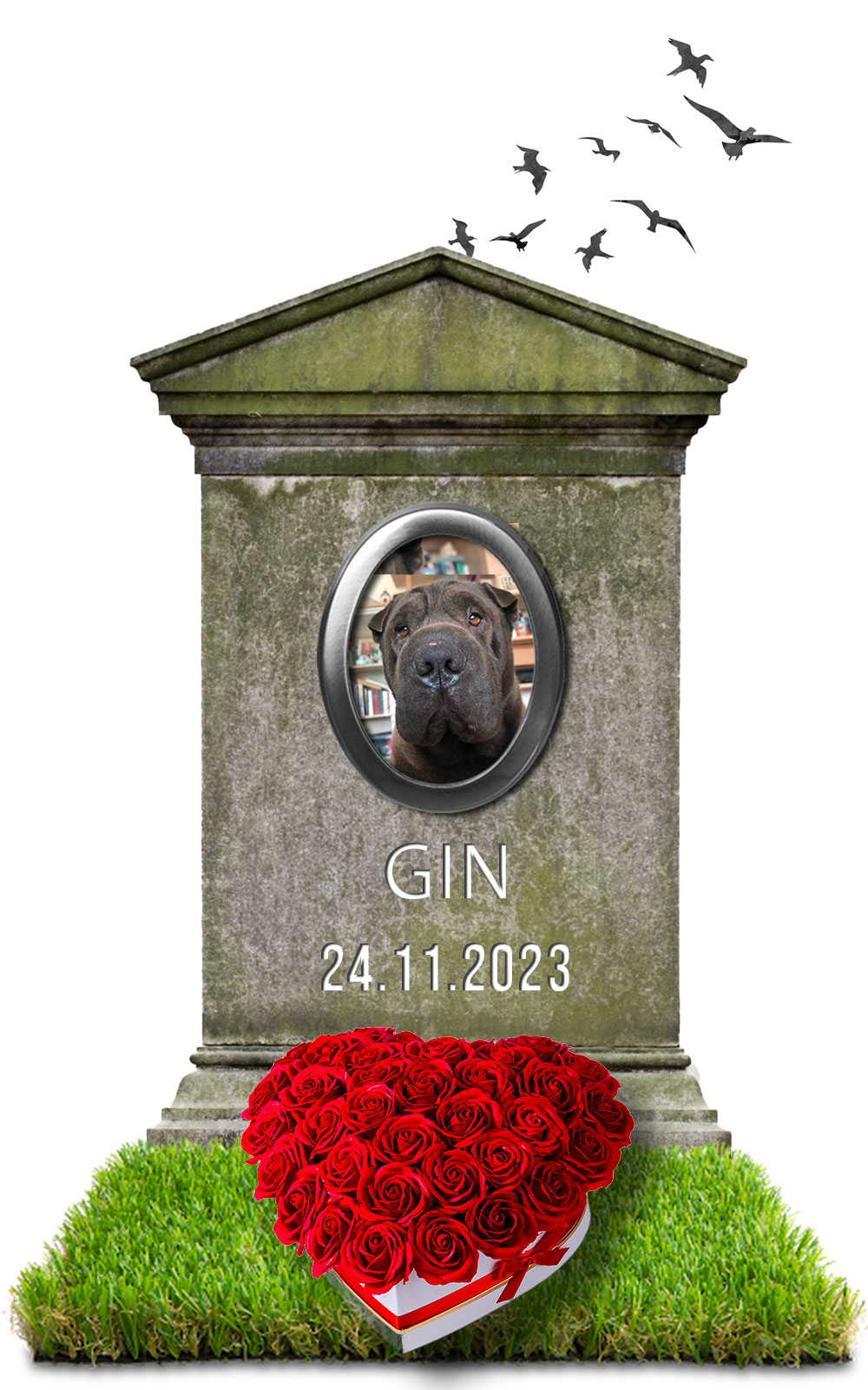 Gin 24.11.2023