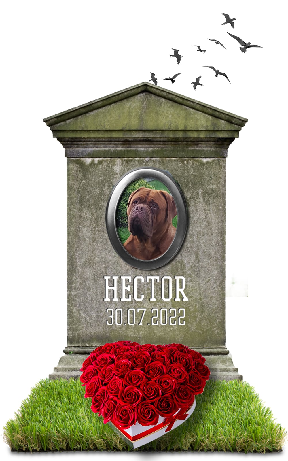 HECTOR 30.07.2022