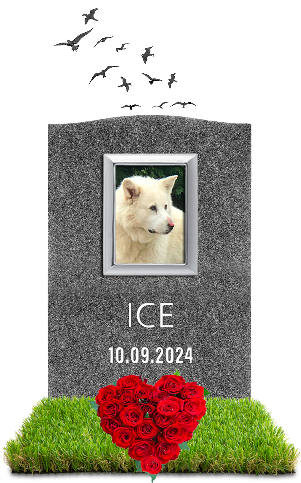 ICE 10.09.2024