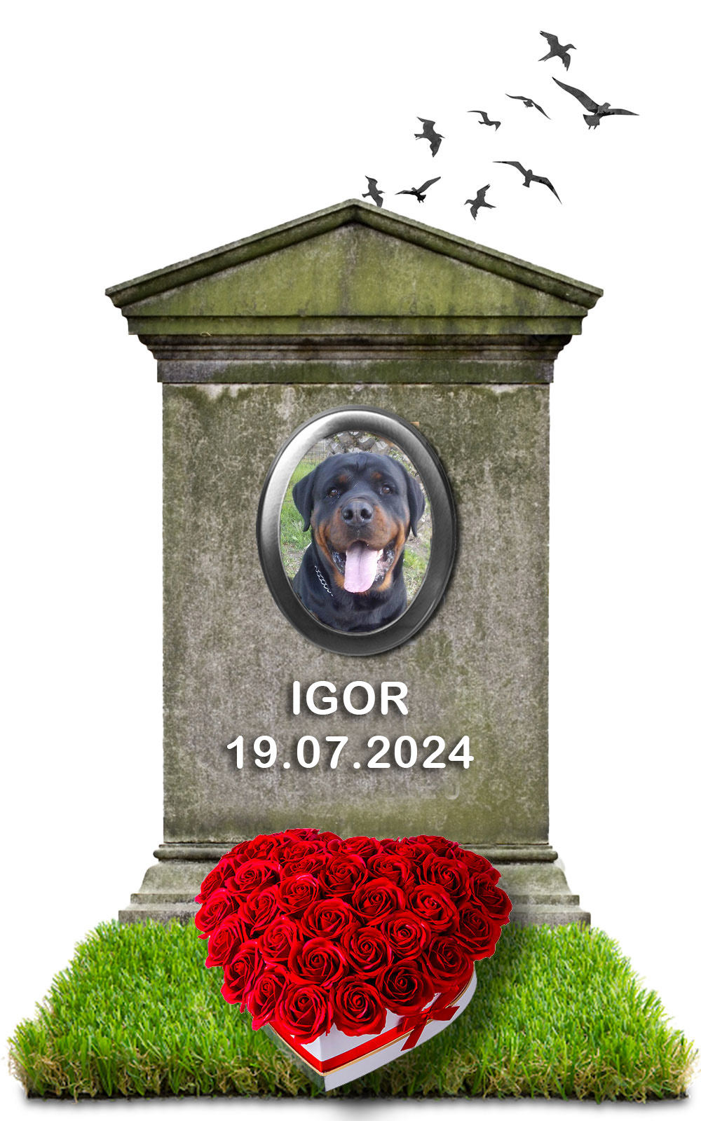 IGOR 19.07.2024