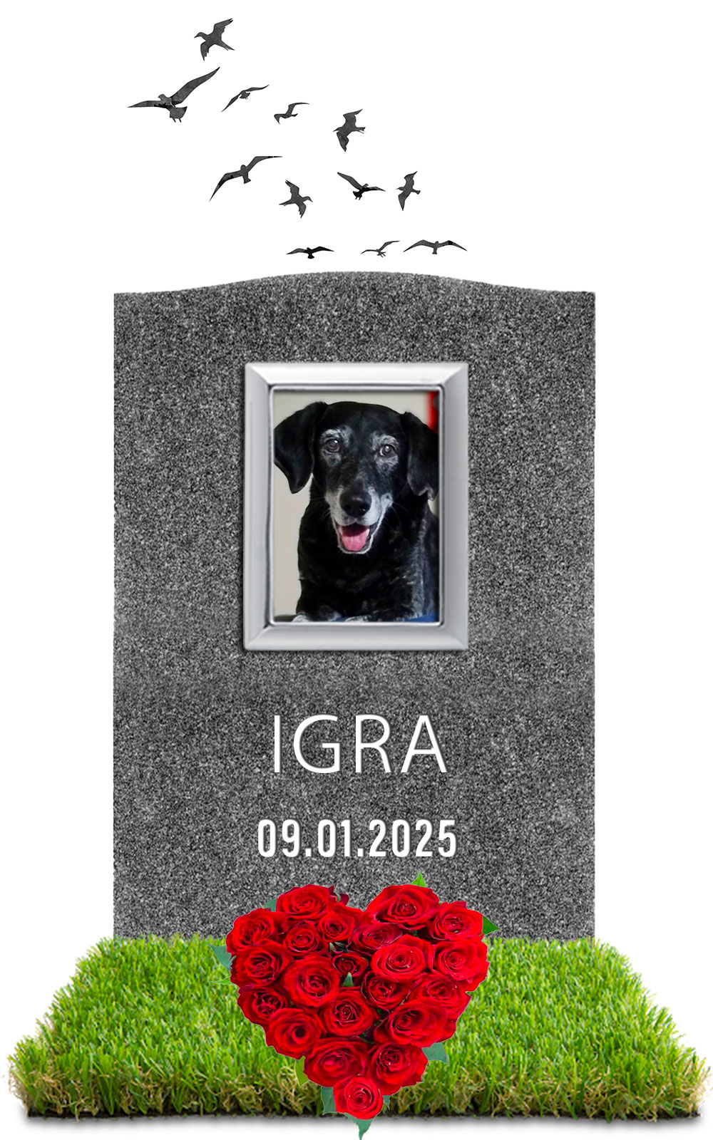 IGRA 09.01.2025
