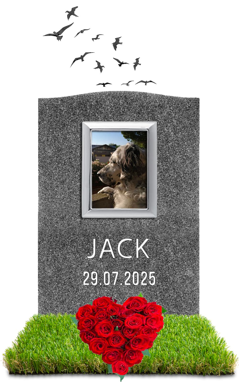 JACK 29.07.2025