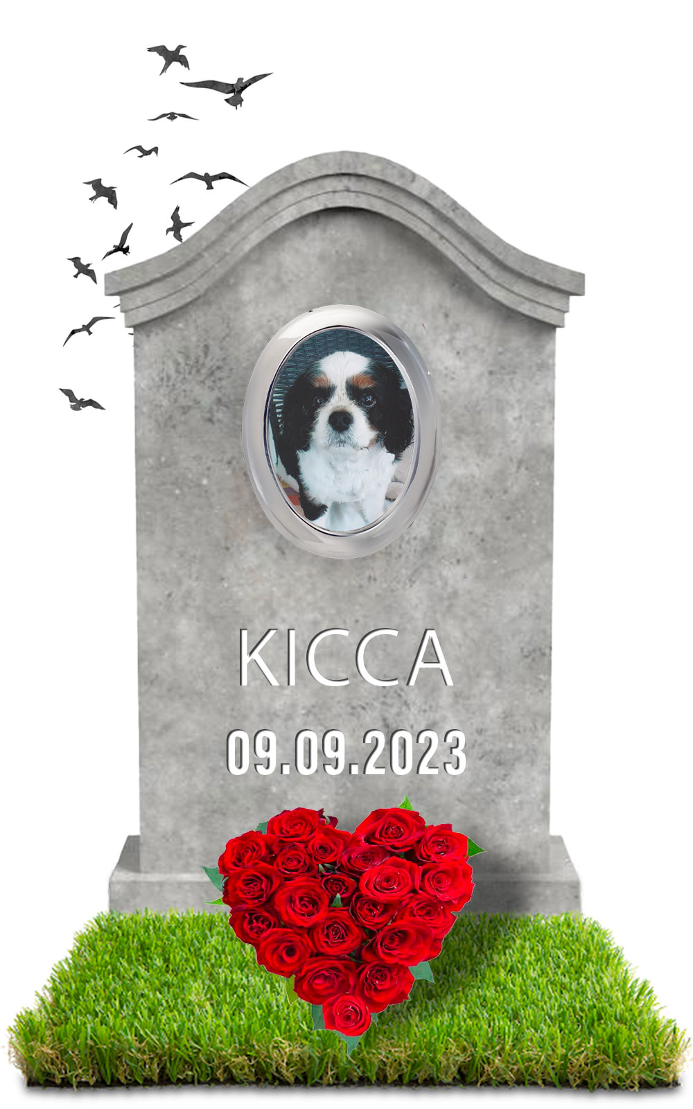 Kicca 09.09.2023