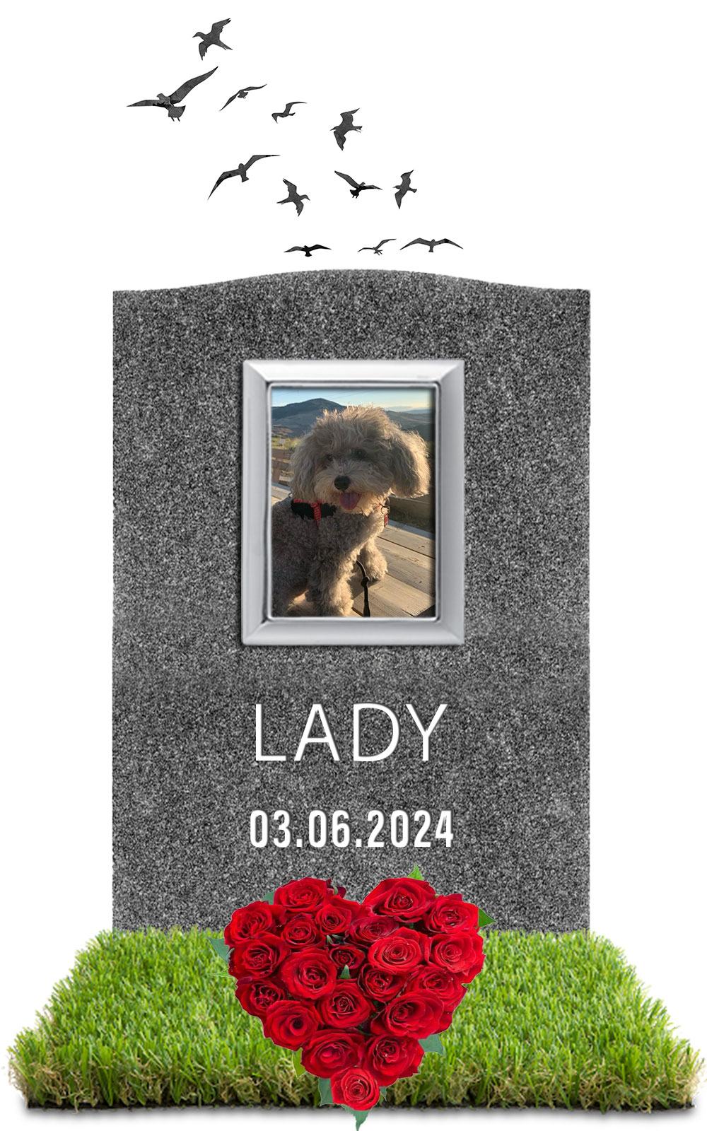 LADY 03.06.2024