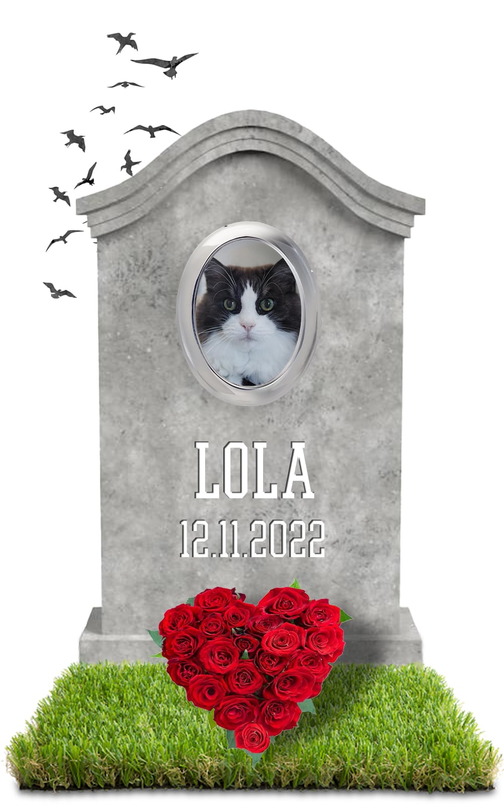 LOLA 12.11.2022