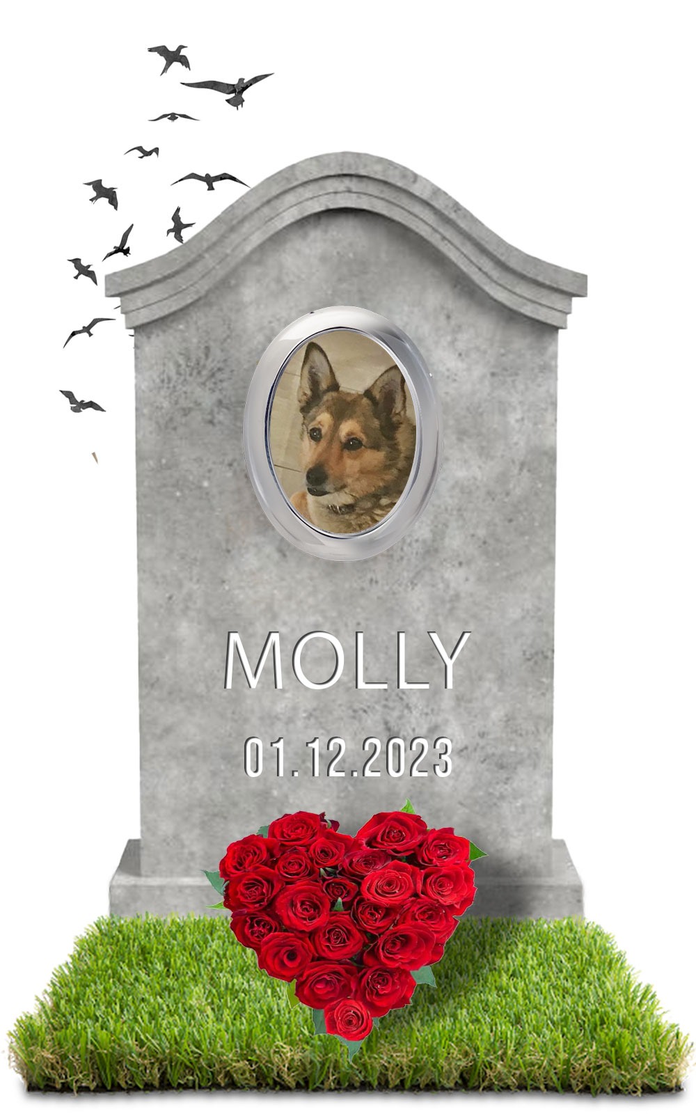 MOLLY 01.12.2023