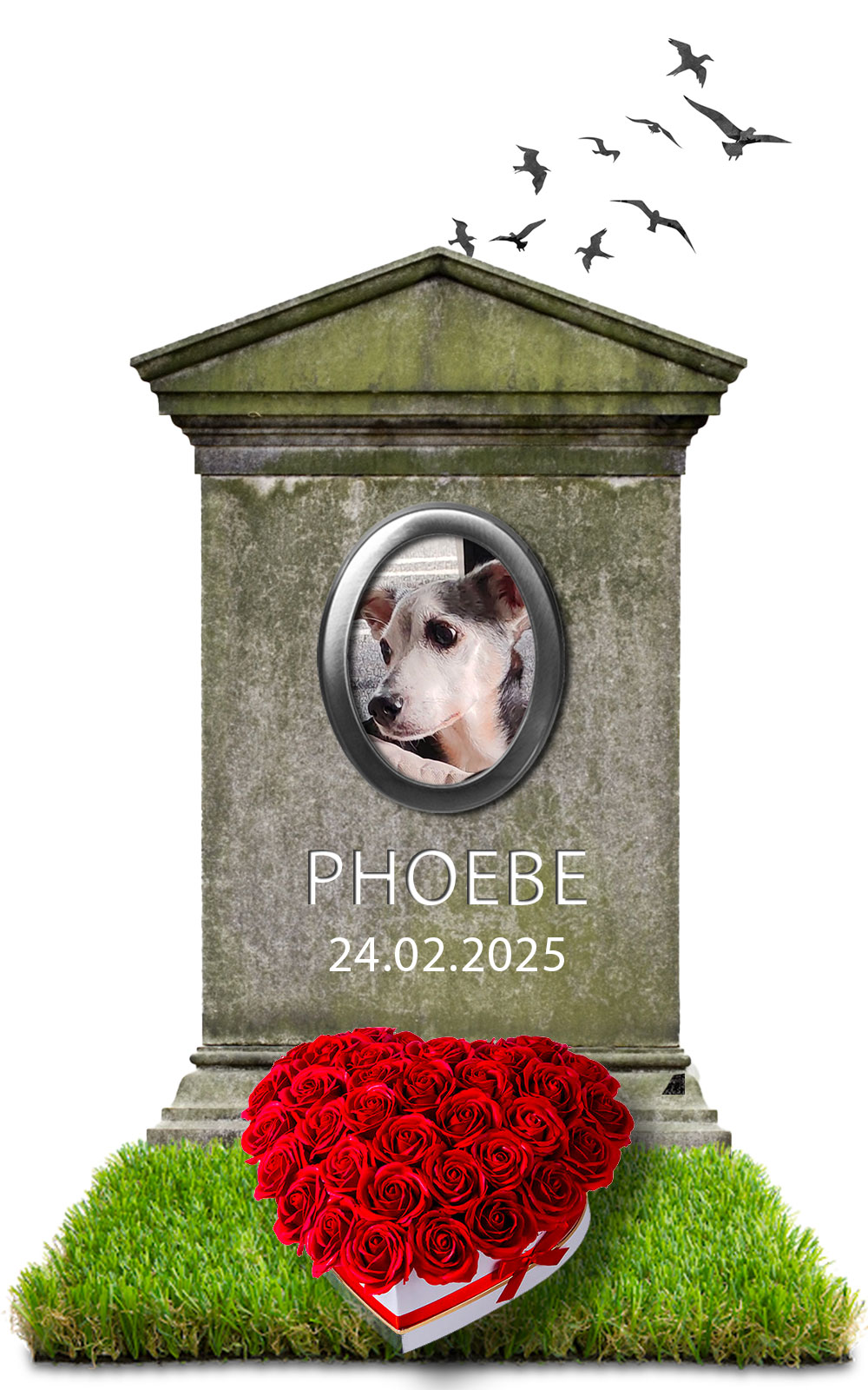 PHOEBE 24.02.2025