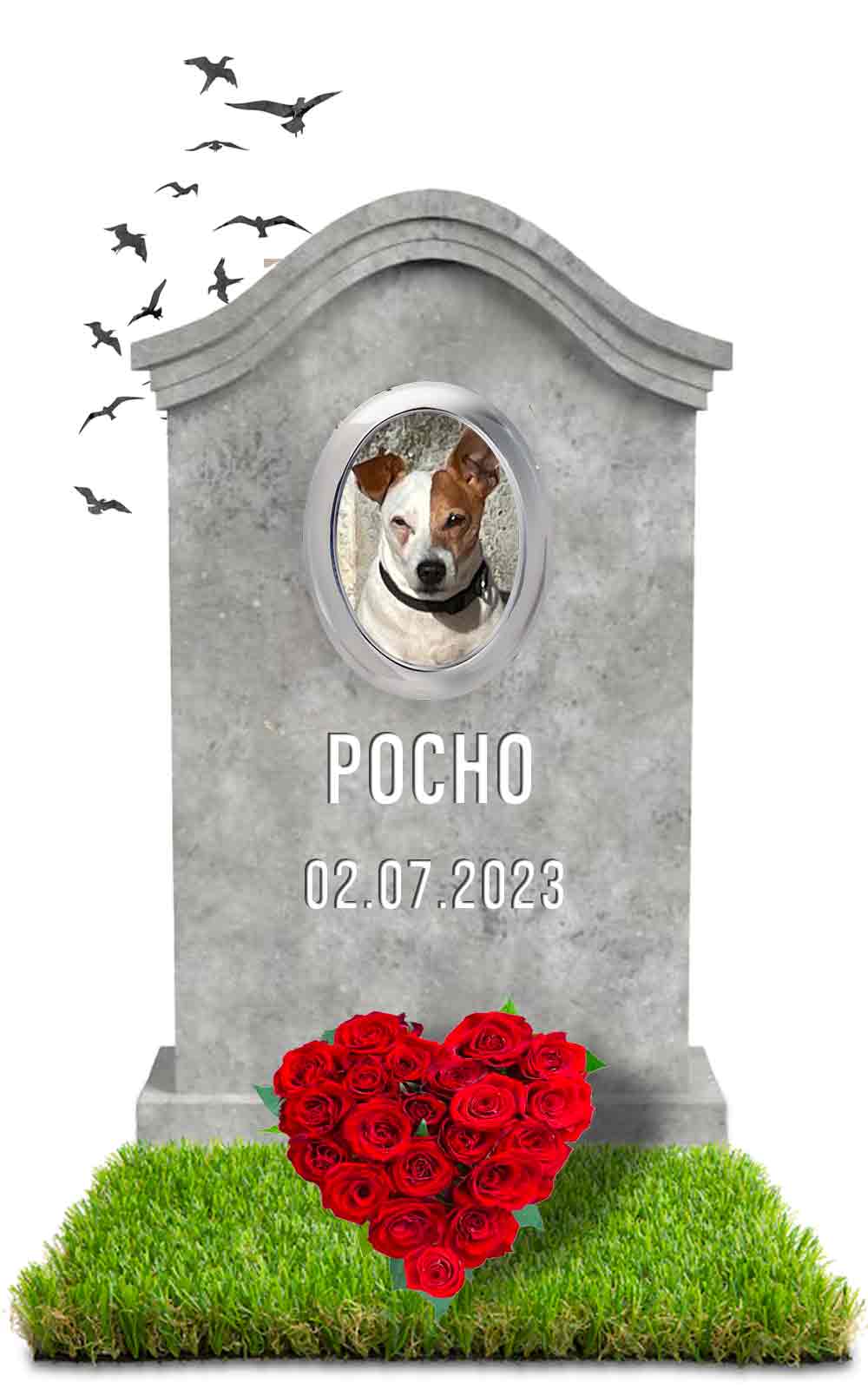 POCHO 02.07.2023