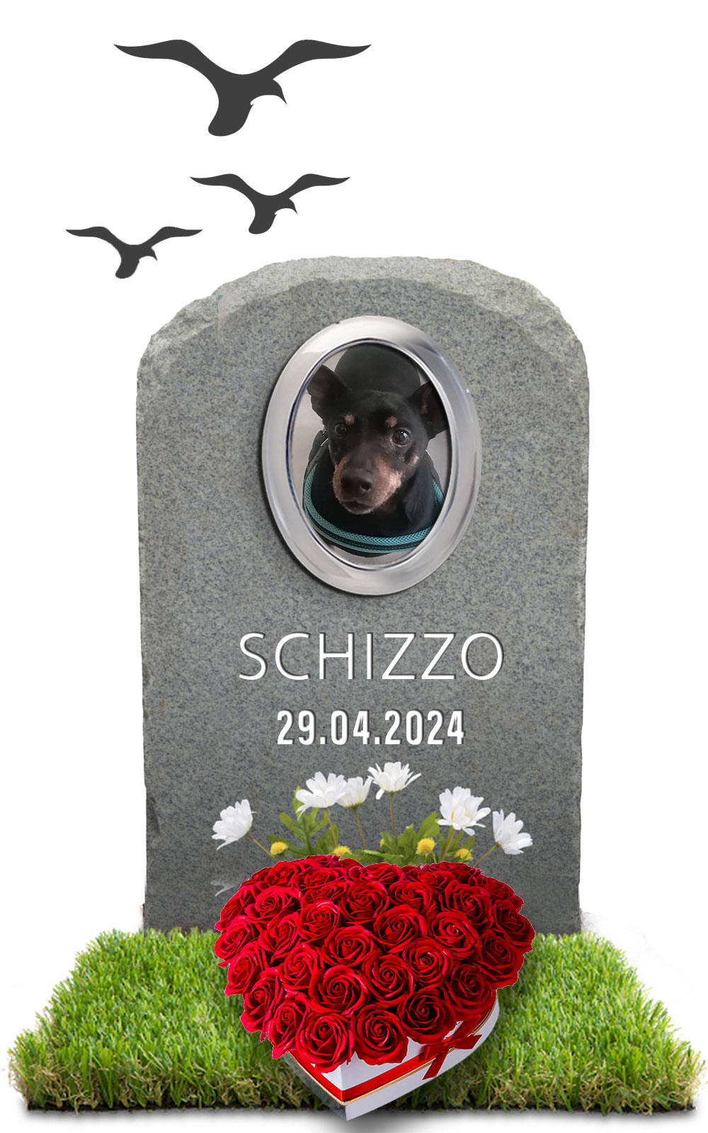 SCHIZZO 29.04.2024