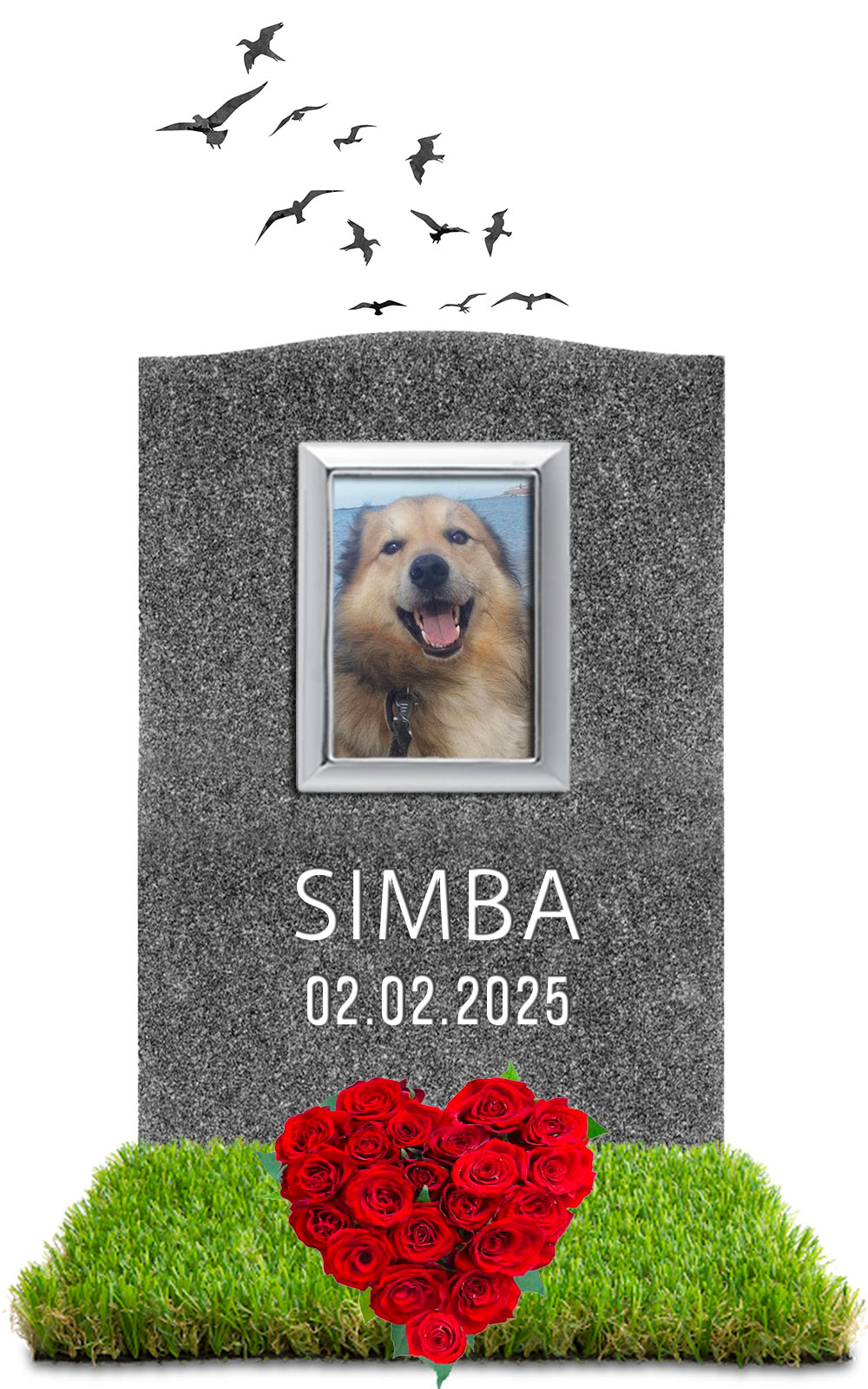 SIMBA 02.02.2025
