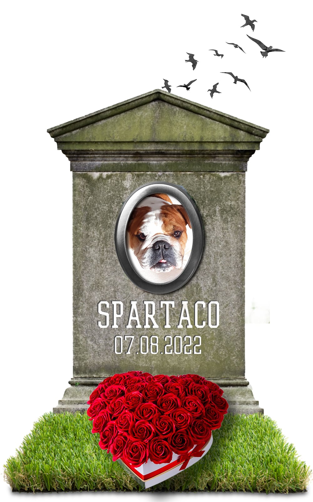 SPARTACO 07.08.2022