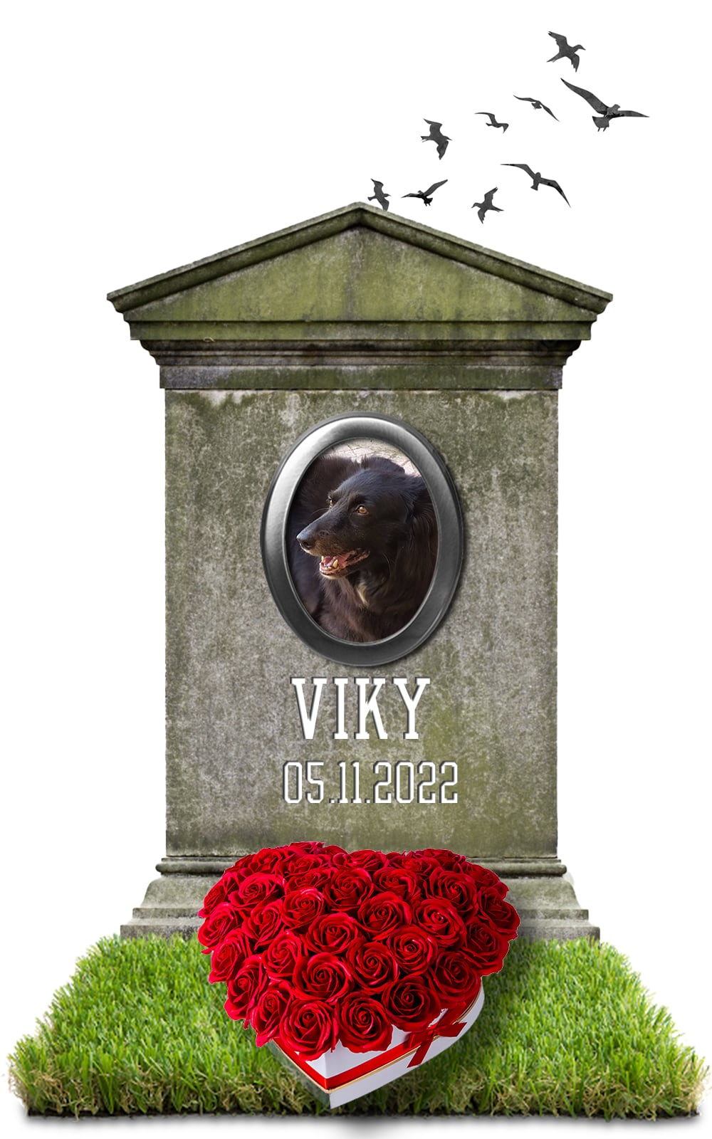 VIKY 05.11.2022