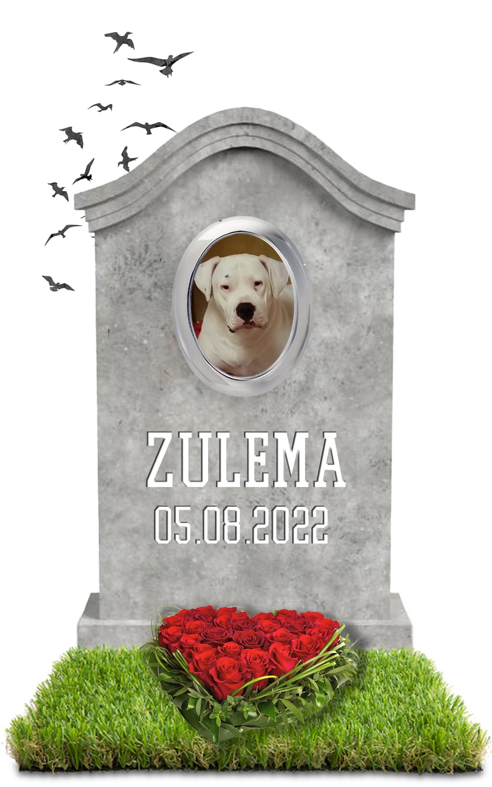 ZULEMA 05.08.2022
