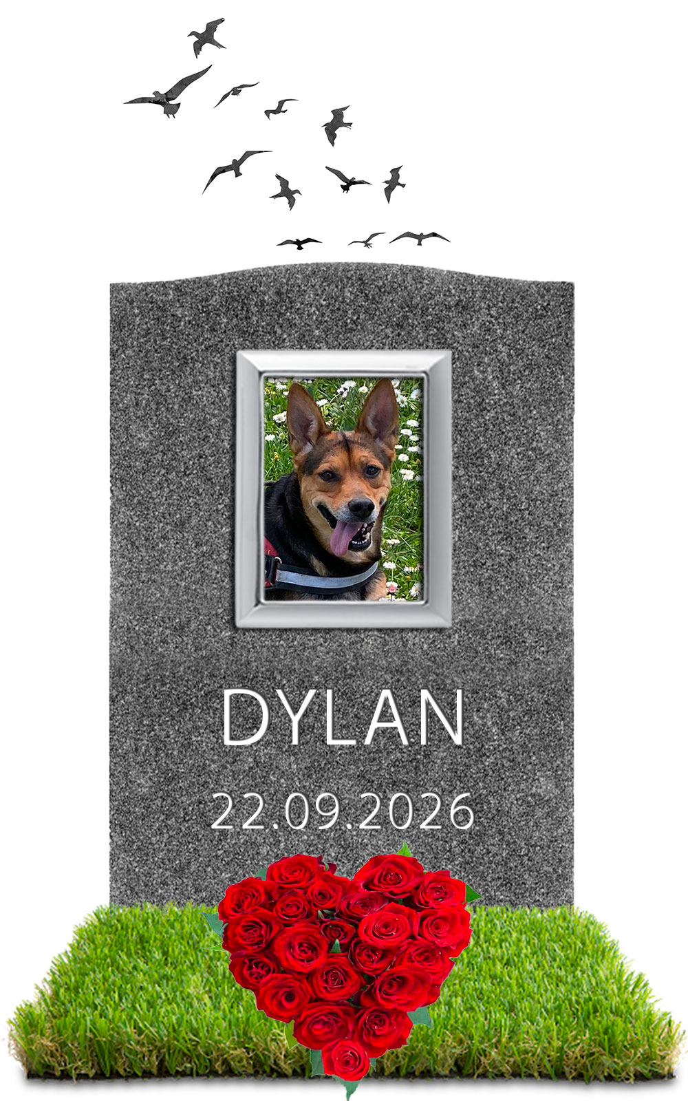 DYLAN 22.09.2026