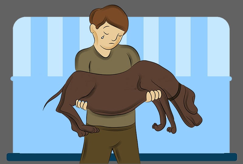 This image for Image Layouts addon
